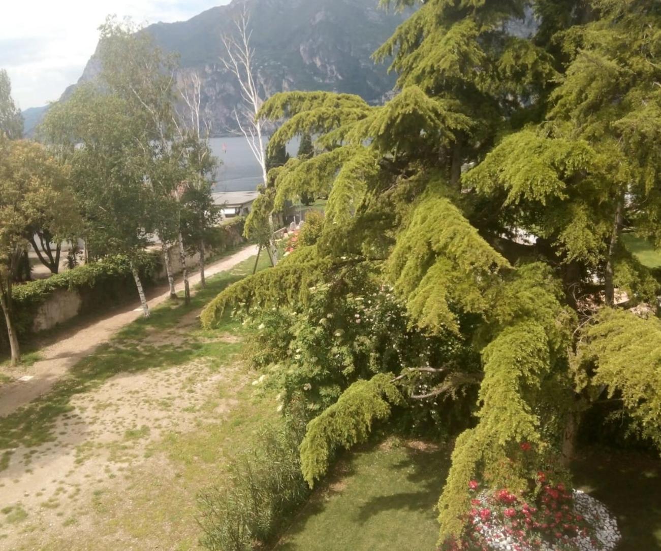 Villa Torbole Torbole Sul Garda Exteriör bild